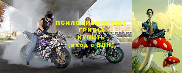стаф Белоозёрский