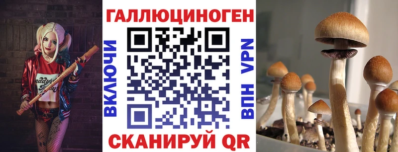 продажа наркотиков  Салаир  Галлюциногенные грибы Cubensis 